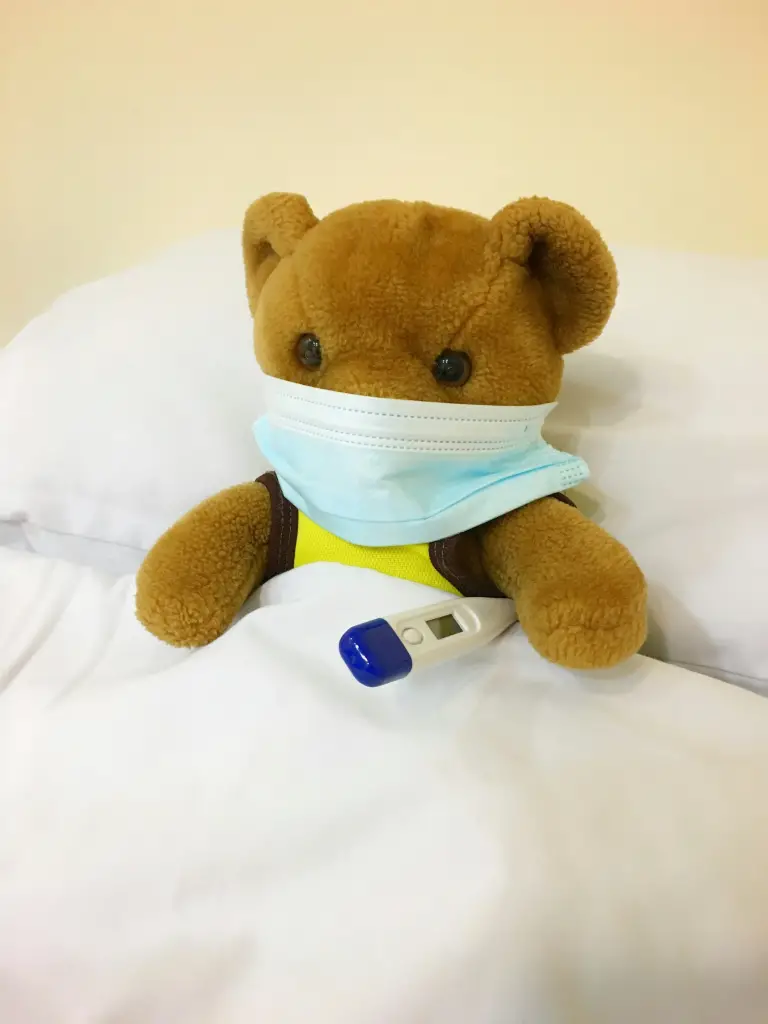 Picture of a toy bear that is sick because of an immunity gap. Results of not practicing safe hygiene.