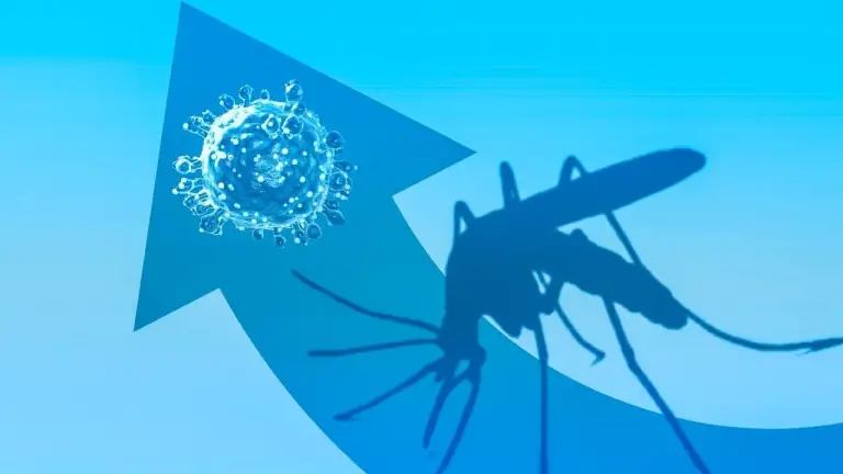 How DERMAGLOVE can help in the control of mosquito borne diseases.