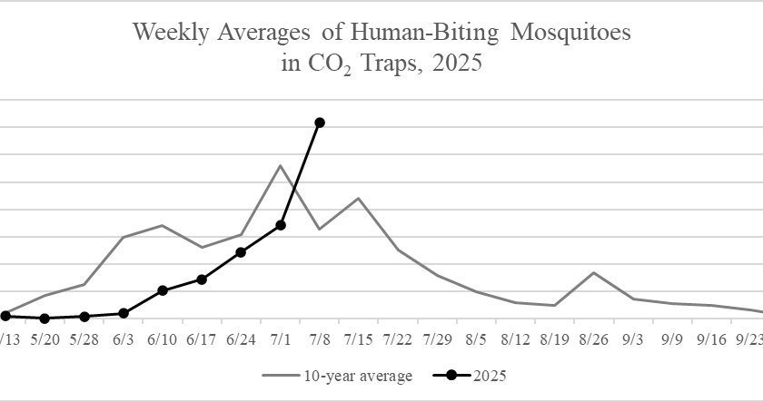 Human biting mosquitoes