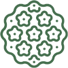 Blue Algae Extract
