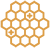 Propolis Extract