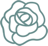 Rose Water